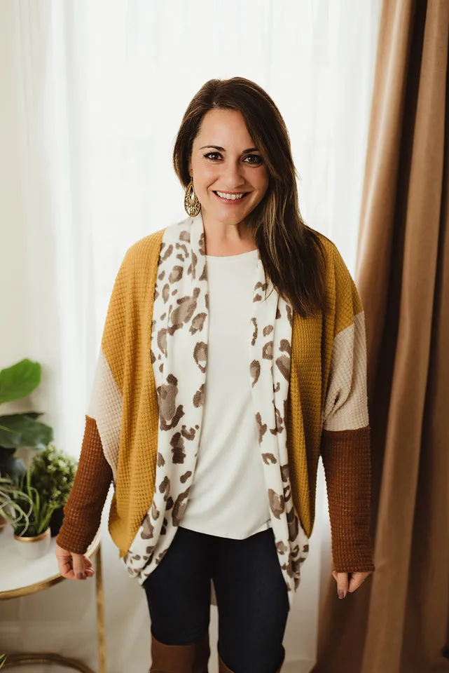 Animal Colorblock Cardi