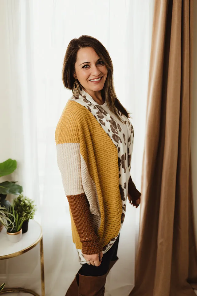 Animal Colorblock Cardi