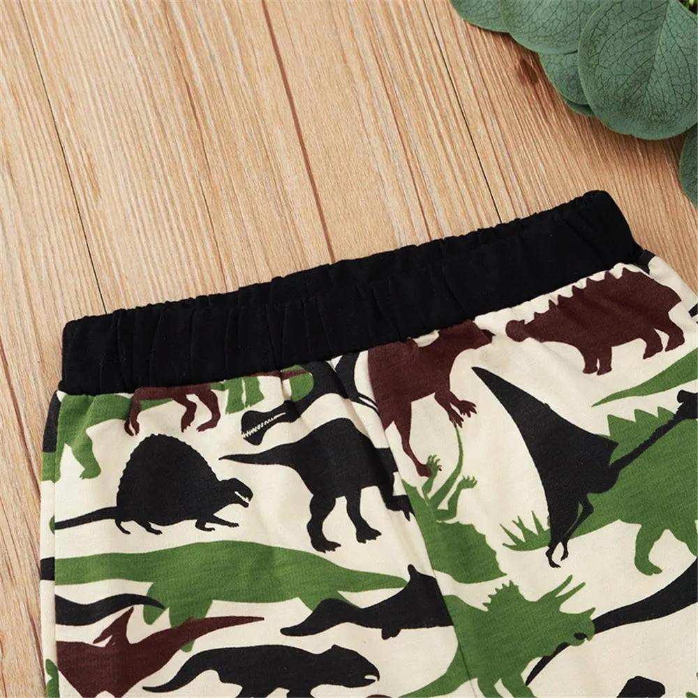 Boys Letter Dinosaur Printed Long Sleeve Top & Pants Wholesale Kids Apparel