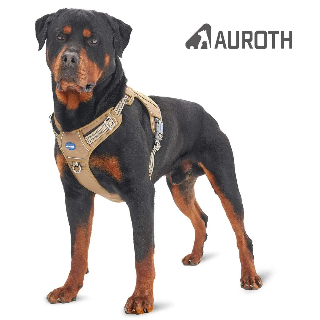 Bundle Deals - Harness and 4.5ft Leash Set - Solid Colors