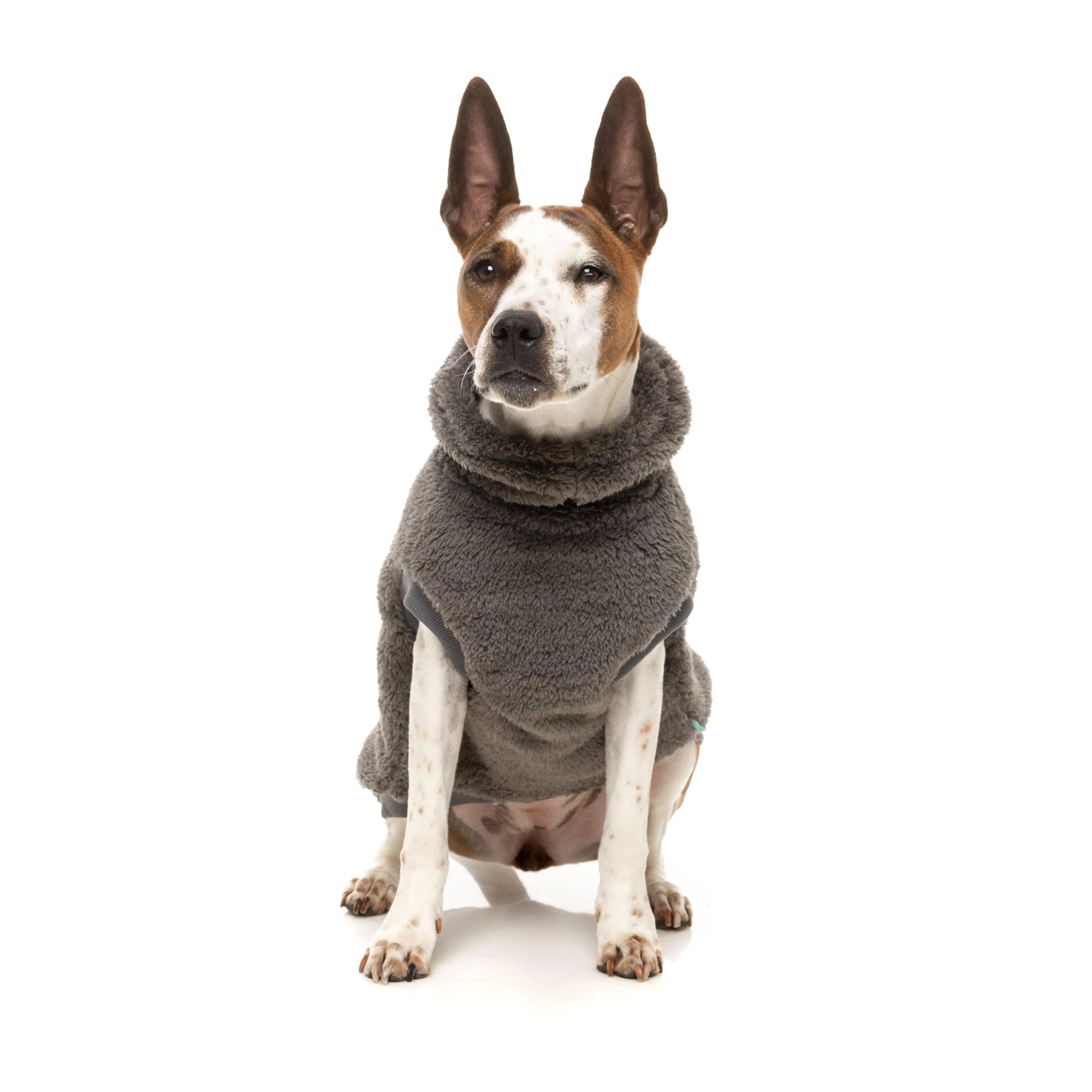 FuzzYard Dog Apparel Turtle Teddy 25 Sweater Gunmetal Grey Size 1 ^ ^