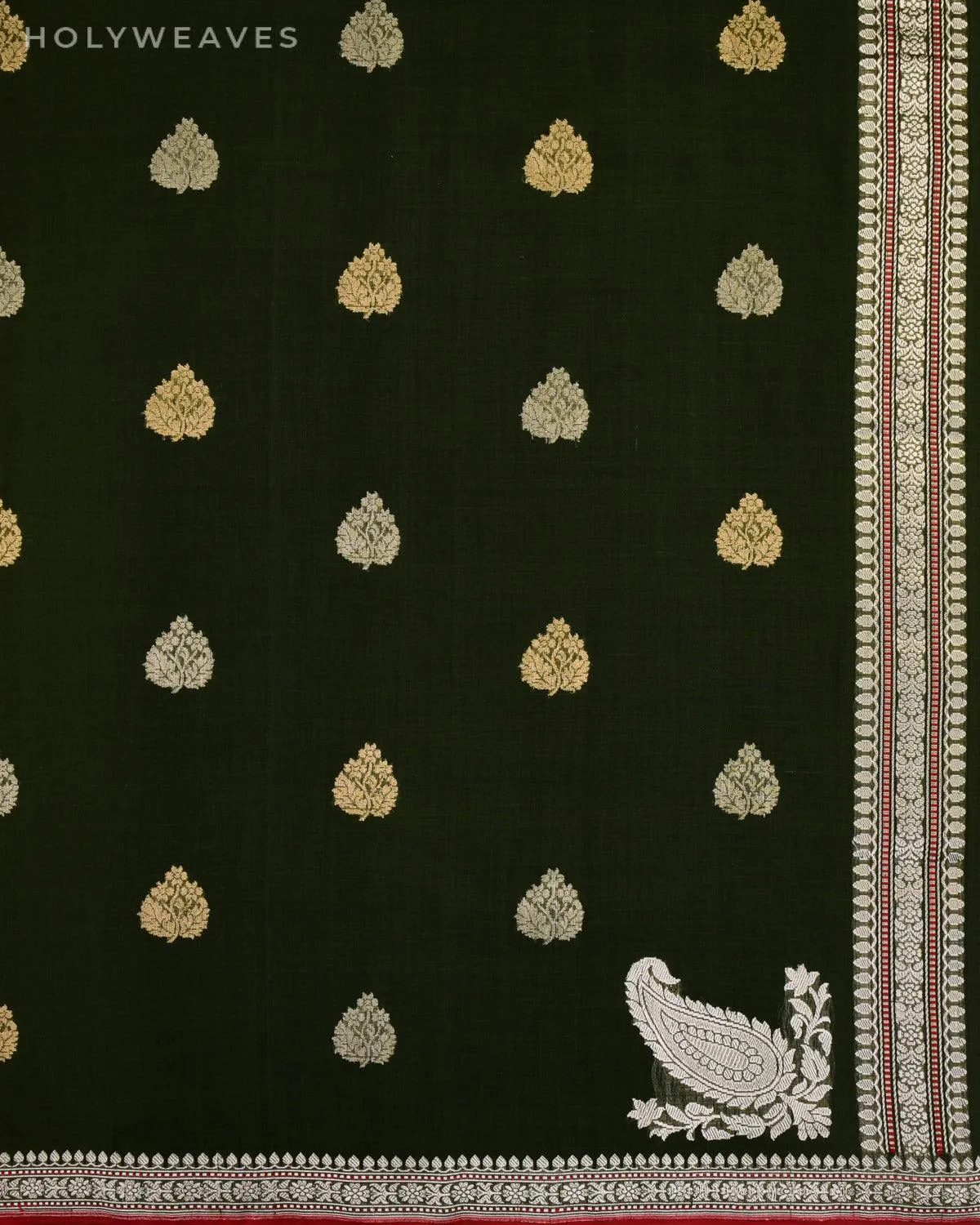 Mehndi Green Banarasi Handwoven Ektara Buti Kadhuan Brocade Handloom Cotton Saree